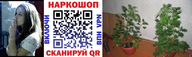 Где продают наркотики Новый Оскол Метамфетамин  A PVP  гидра зеркало  Амфетамин 