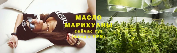 2c-b Горняк