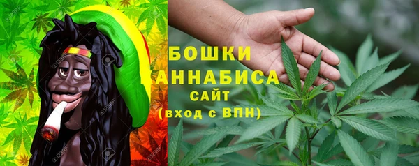 2c-b Горняк