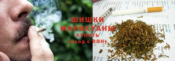 apvp Гусев