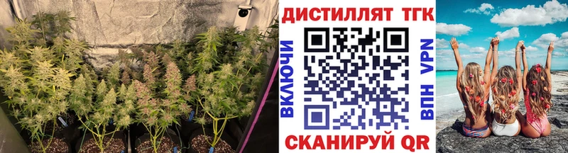 ТГК концентрат  Новый Оскол 