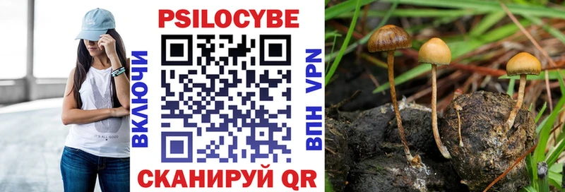 Псилоцибиновые грибы мухоморы  Новый Оскол 